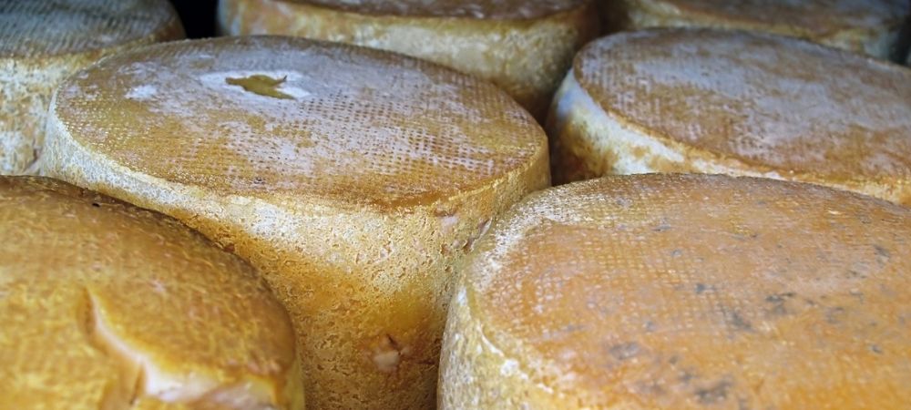 Bloques de queso en proceso de maduración, donde el control del pH juega un papel crucial para asegurar la calidad y sabor durante la producción